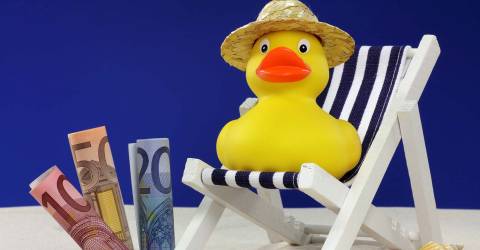 Badeendje met een strohoed in een strandstoel op het strand met eurobiljetten